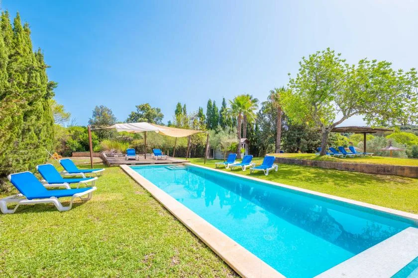 A swimming pool surrounded by a grassy lawn and lounge seating.
