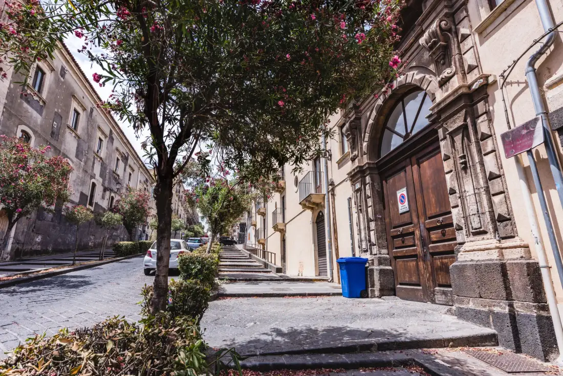 Una acera urbana arbolada pasa junto a edificios de piedra y una gran puerta de madera.