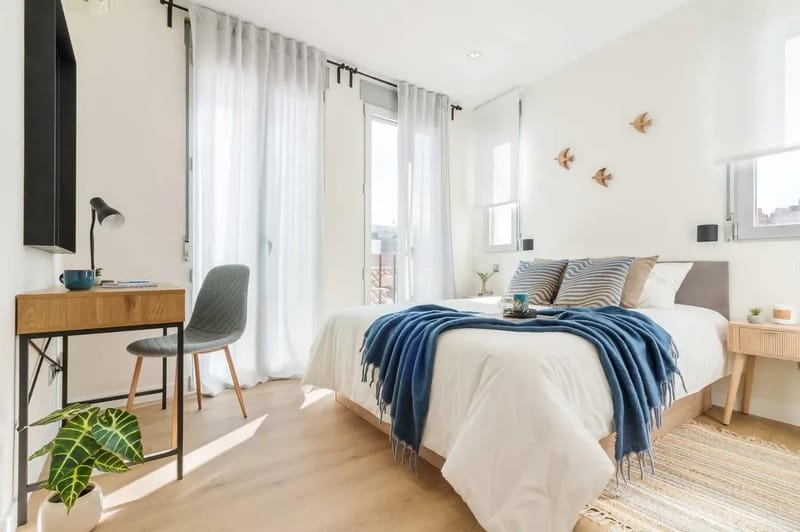 Remarkable 1BR with lovely decor in Justicia
