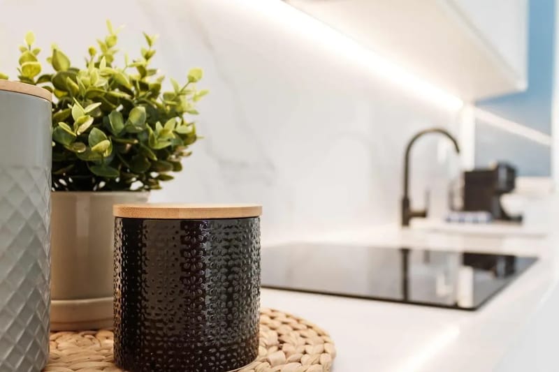 Remarkable 1BR with lovely decor in Justicia