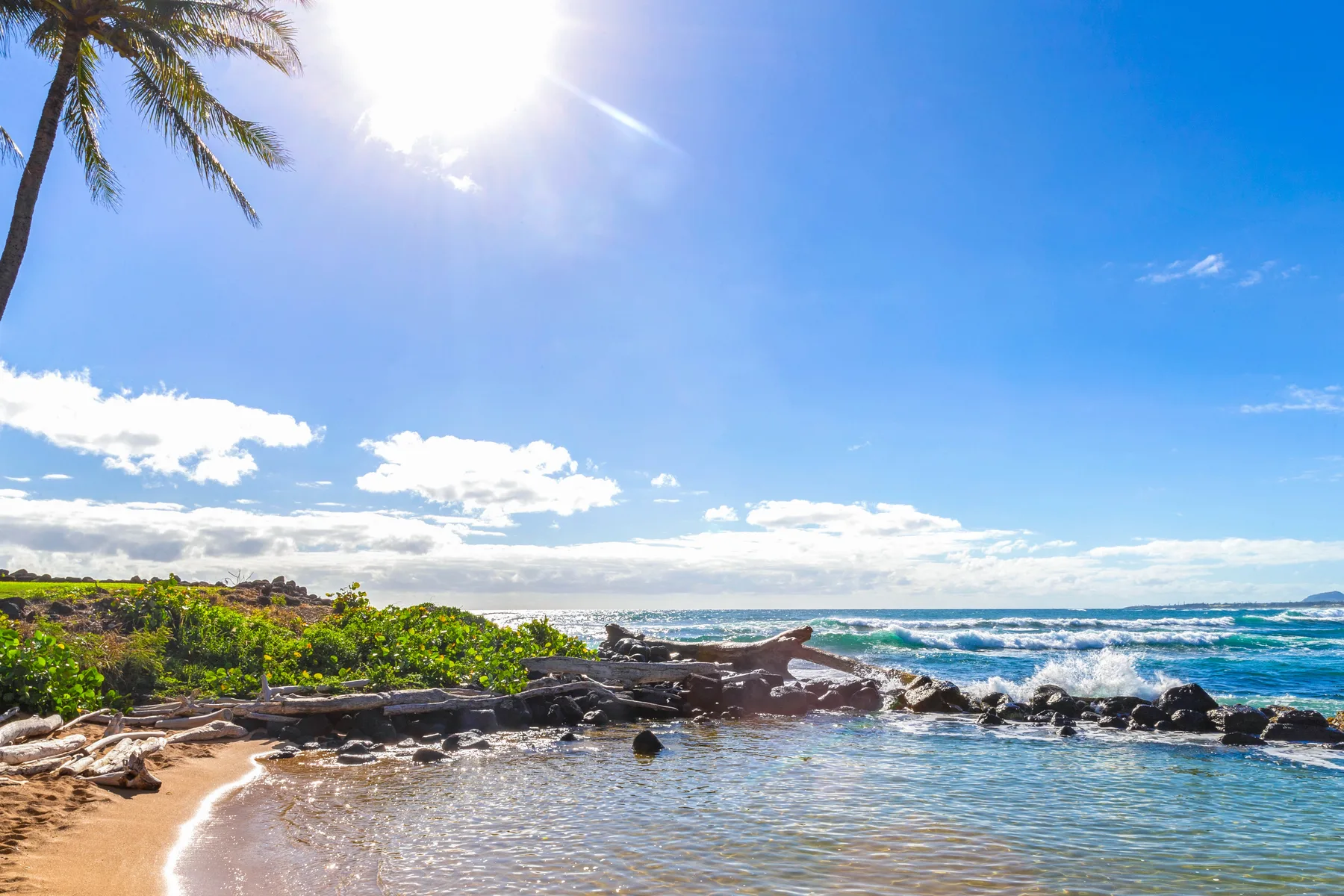Una costa tropical soleada con hojas de palmera, rocas y olas del mar.