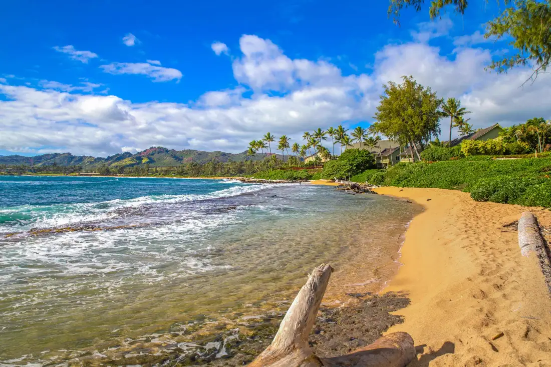 Una playa de arena bordea aguas claras, con palmeras y colinas a lo lejos.