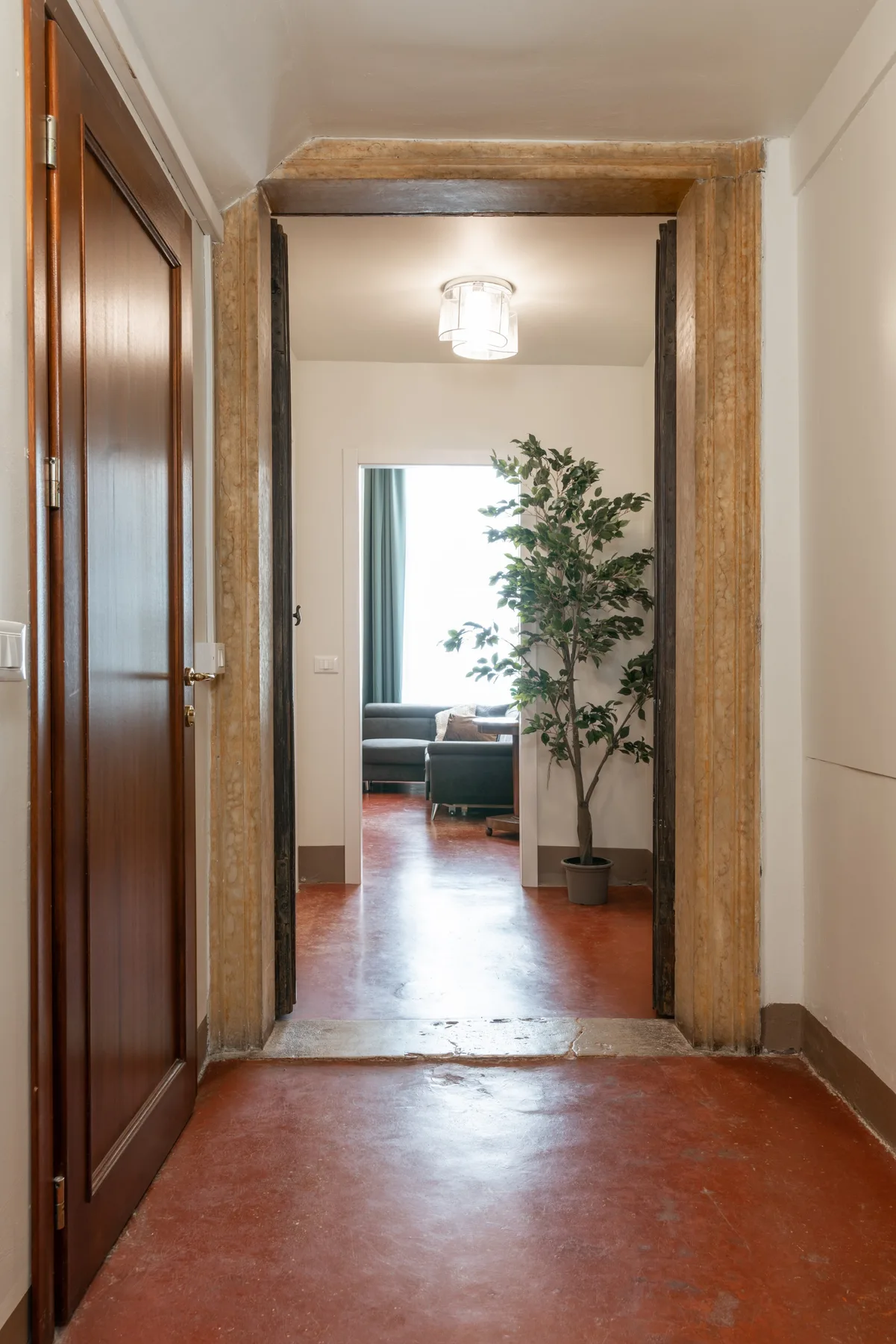 Un pasillo con una planta en maceta y una vista hacia una sala de estar.