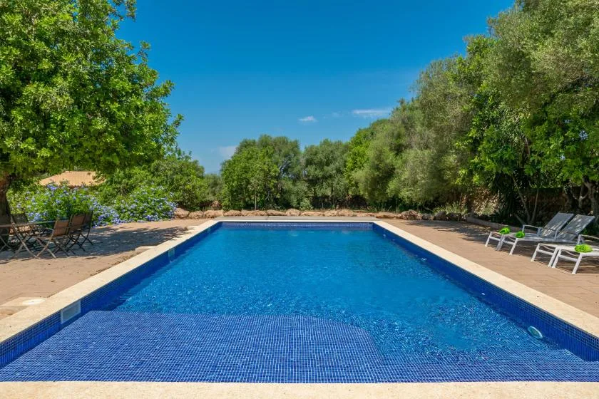 A rectangular outdoor swimming pool surrounded by trees and outdoor seating.