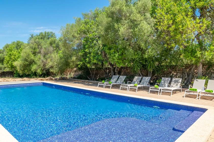 An outdoor swimming pool with lounge seating beside leafy trees.