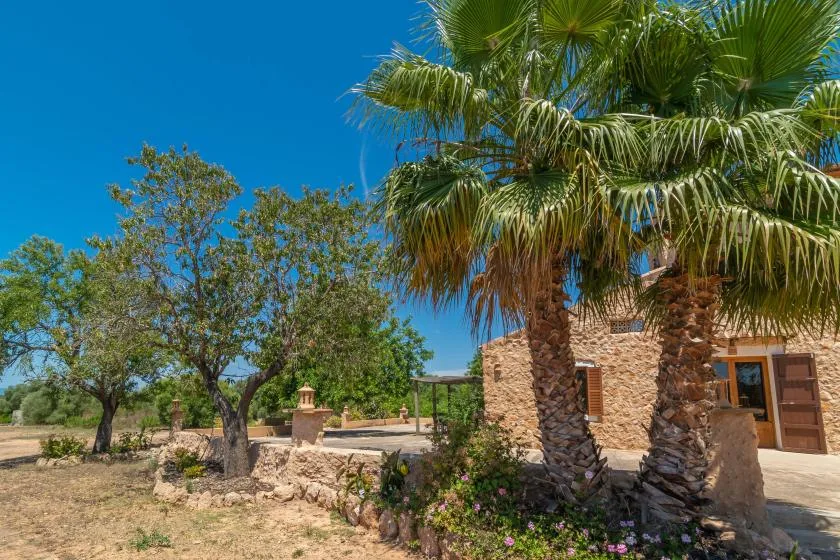 A stone building stands among palm trees and dry landscaping under a clear sky.