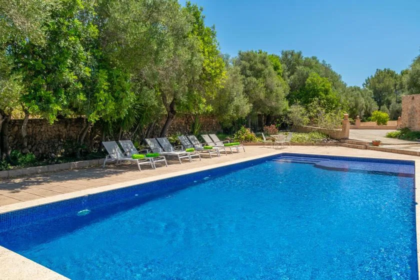 A swimming pool bordered by lounge chairs and leafy trees.