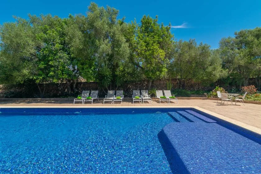 Piscina al aire libre junto a una terraza pavimentada con asientos y árboles.