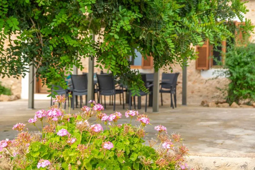 An outdoor courtyard with patio seating beneath leafy trees and flowering plants.
