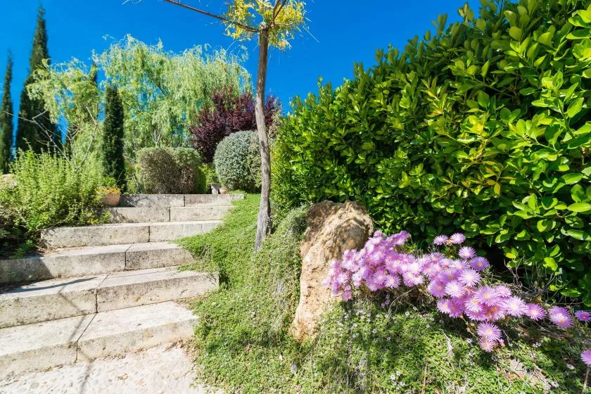 Un sendero de jardín con escalones de piedra pasa junto a arbustos y plantas con flores.