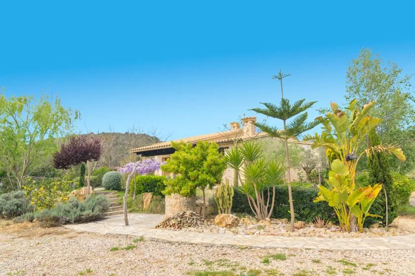Un jardín con plantas variadas y una casa bajo un cielo azul despejado.