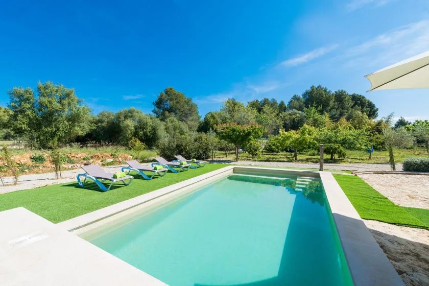 Una piscina rodeada de césped verde y árboles bajo un cielo azul despejado.