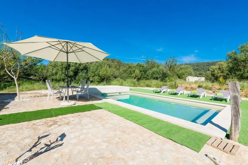 Una piscina al aire libre junto a un patio con sombra, asientos y vegetación alrededor.