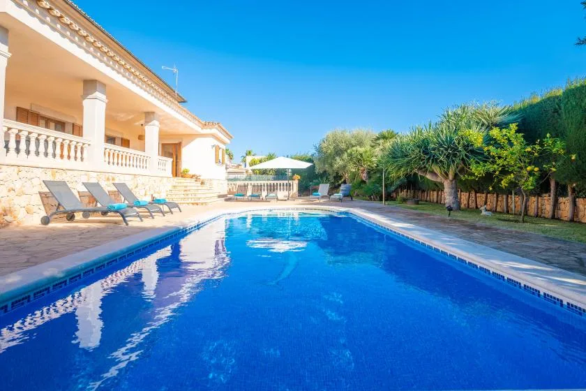 A swimming pool beside a house, with loungers and trees along the patio.