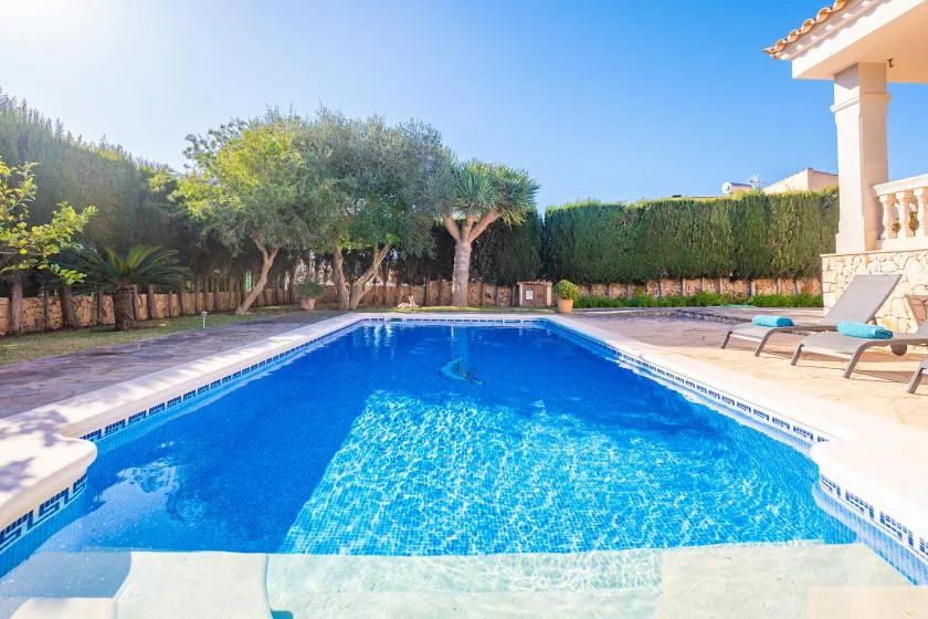 A bright outdoor swimming pool is surrounded by trees and a paved patio.