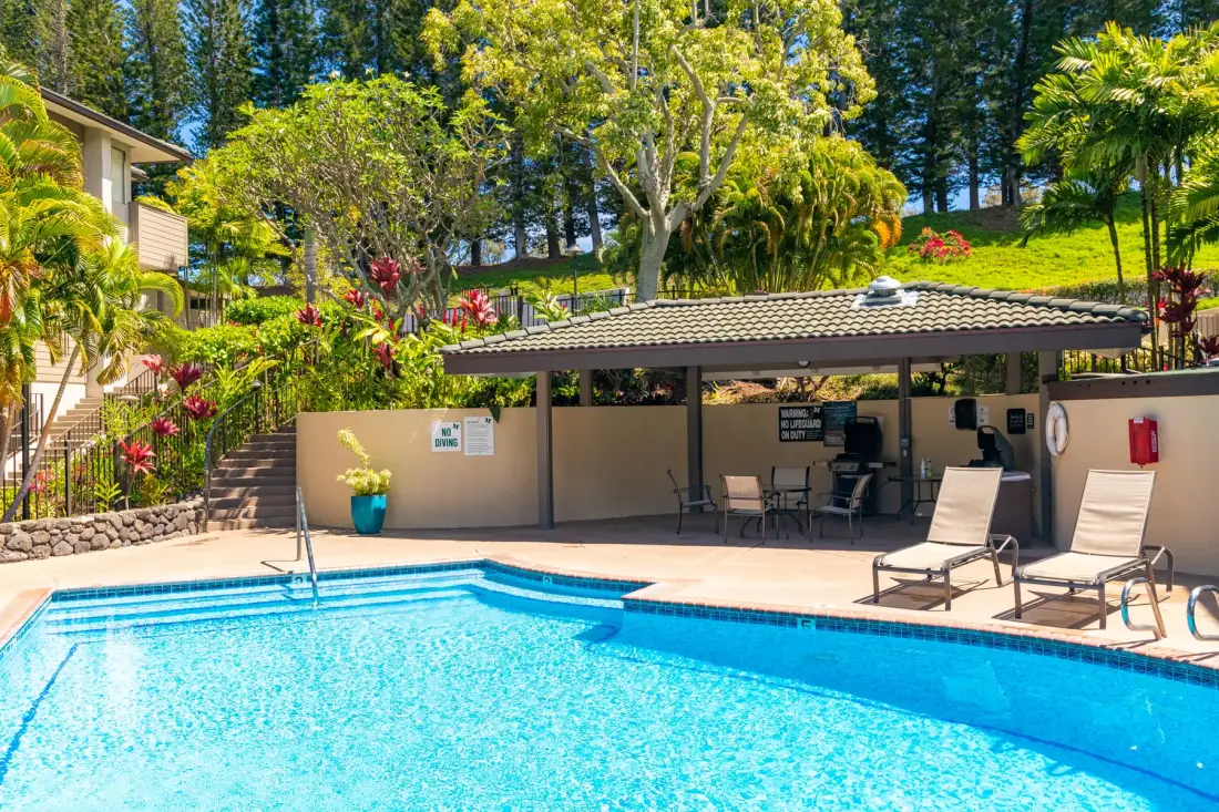 Una piscina al aire libre está junto a una zona de asientos con sombra y vegetación.