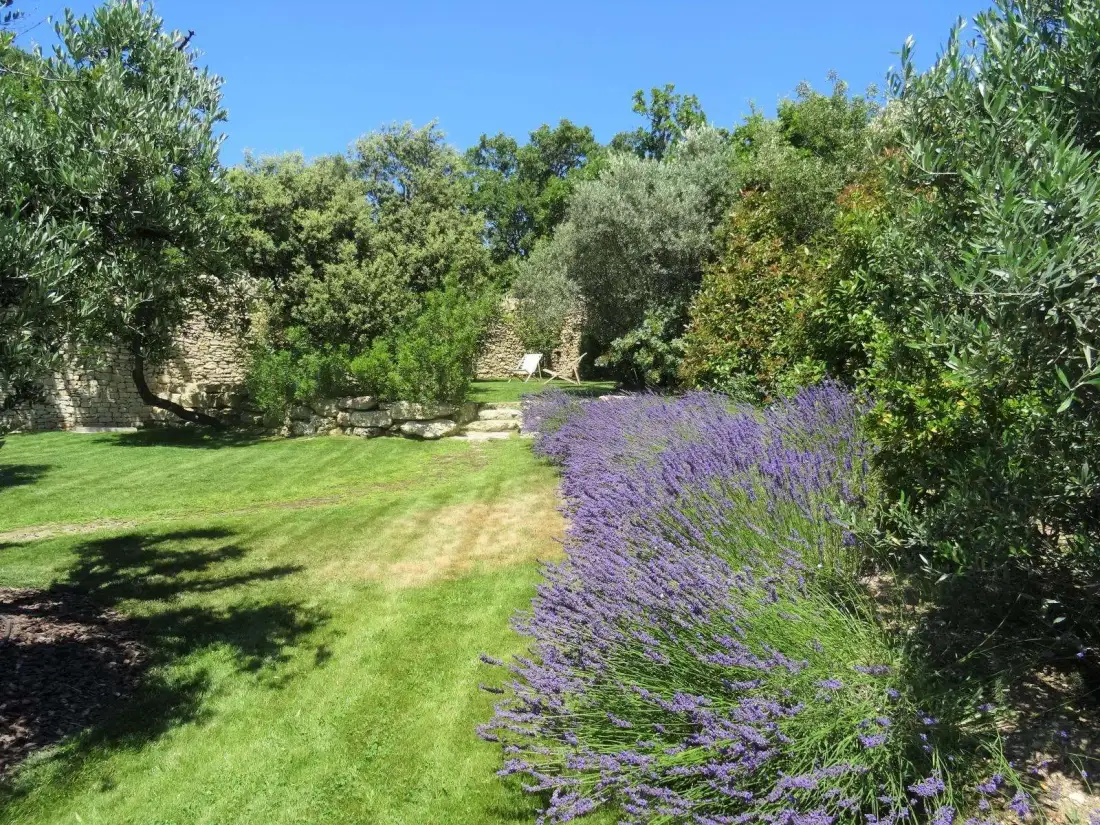 Jardín y lavanda del hotel