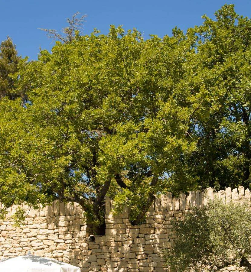 Hotel Le Jas de Gordes