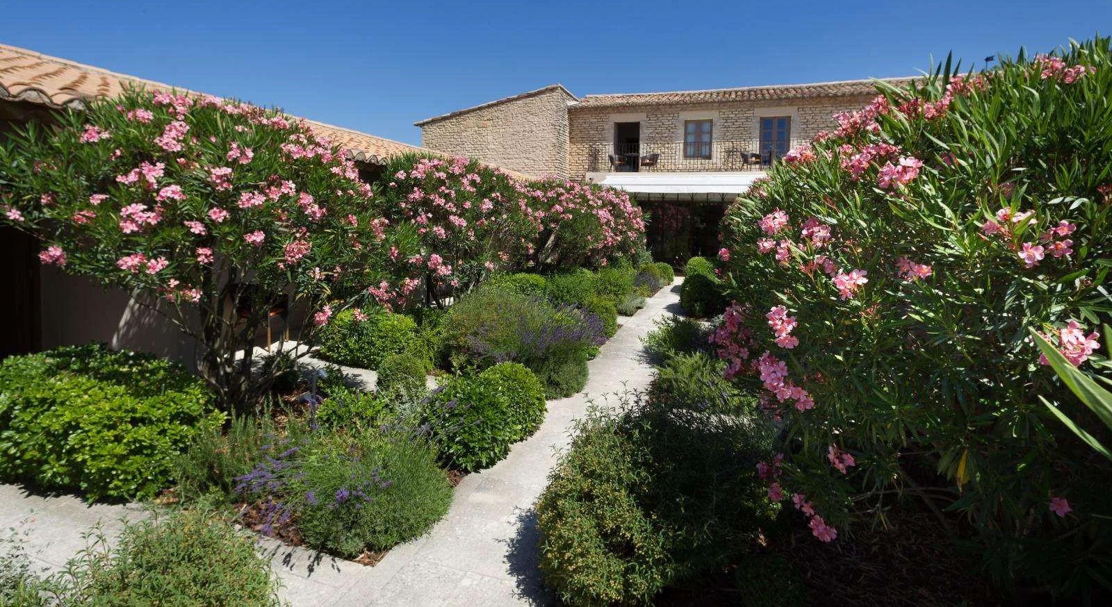 Patio del hotel
