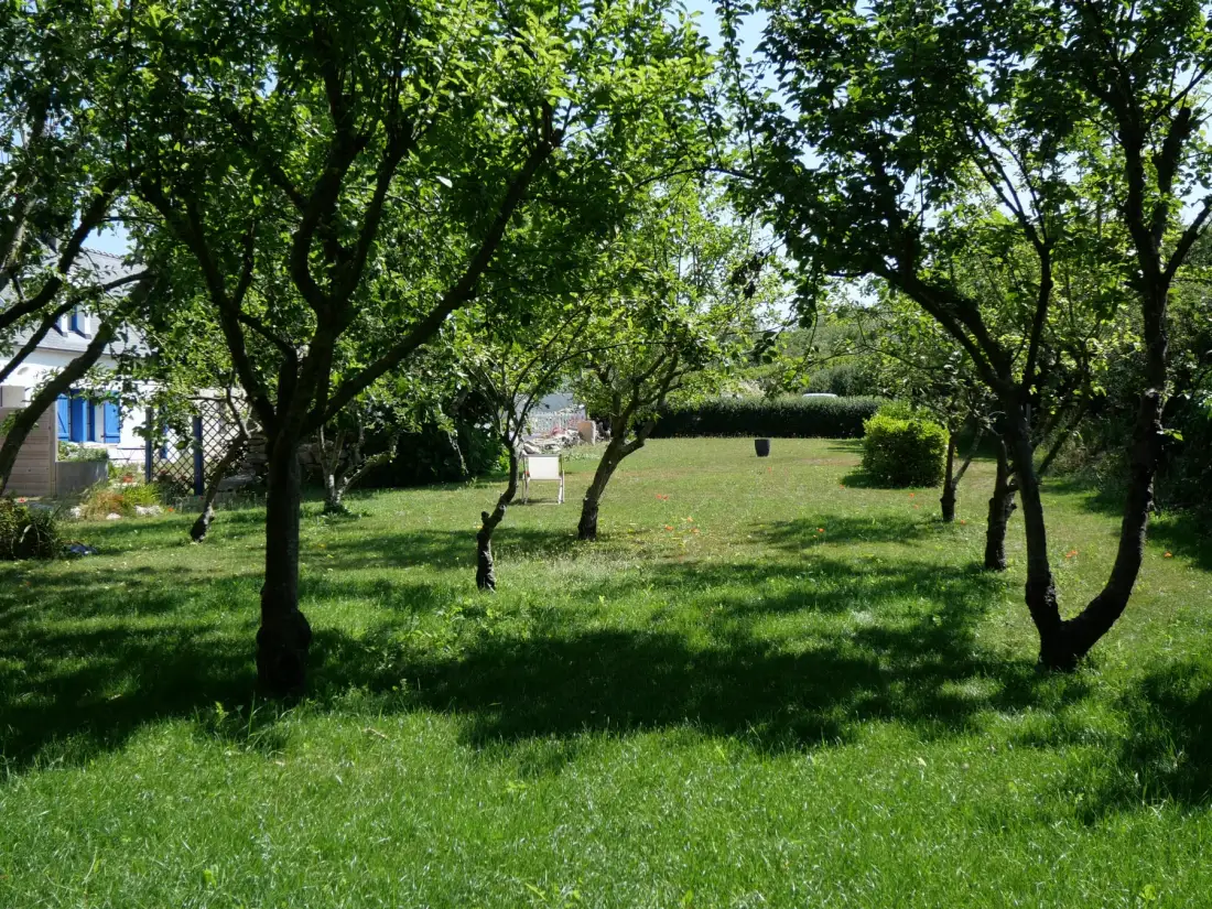 Property gallery photo