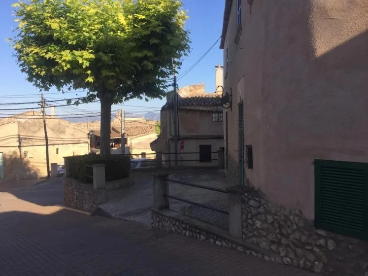 A quiet street corner with a leafy tree beside stone-fronted buildings.