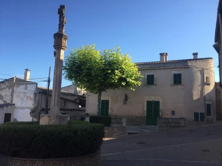A quiet village street with a stone monument, trimmed hedges, and a leafy tree.