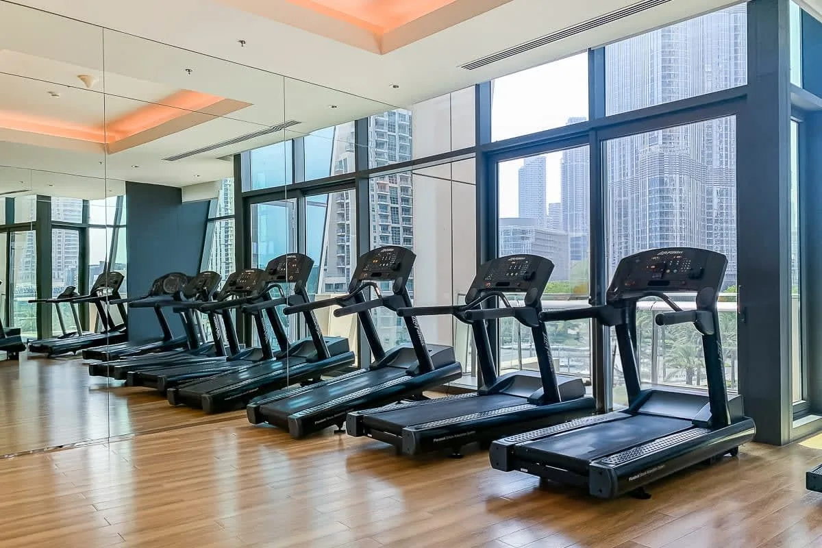 A gym with treadmills lined up beside large windows.