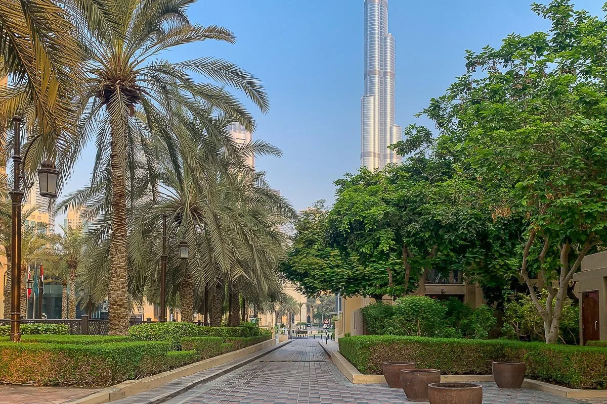 A landscaped pedestrian walkway runs between palm trees and leafy greenery.