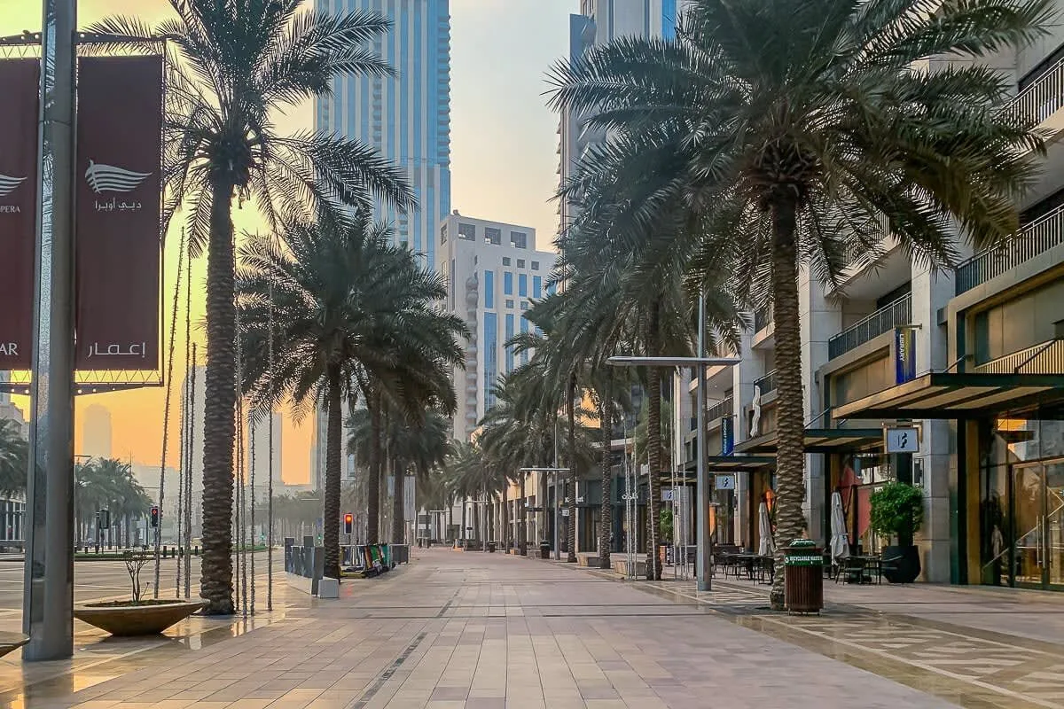 A palm-lined pedestrian street runs between modern buildings and storefronts.