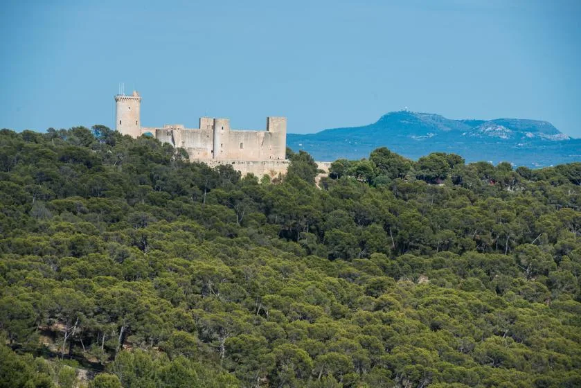 A stone castle stands above a densely wooded hillside, with mountains in the distance.