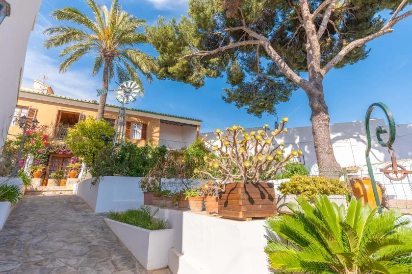 A sunny courtyard garden with a stone walkway, potted plants, and a large tree.