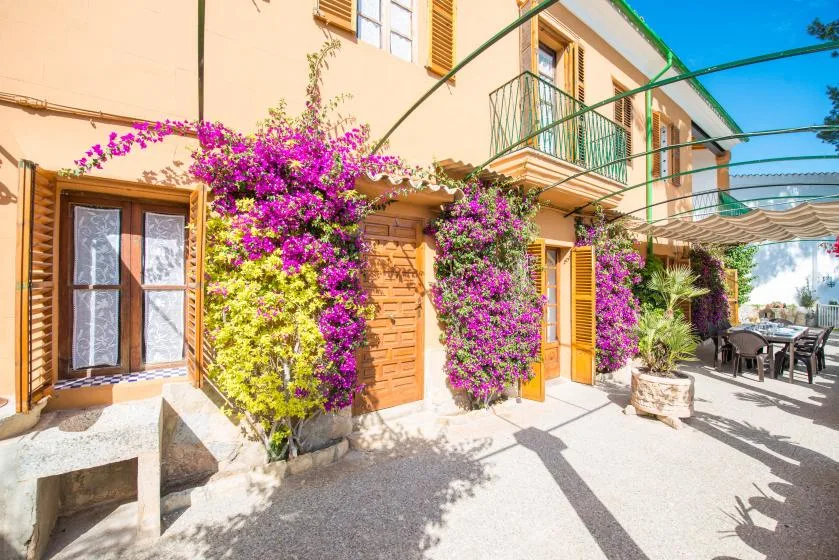A sunny patio beside a stucco building is covered with flowering vines and shaded seating.
