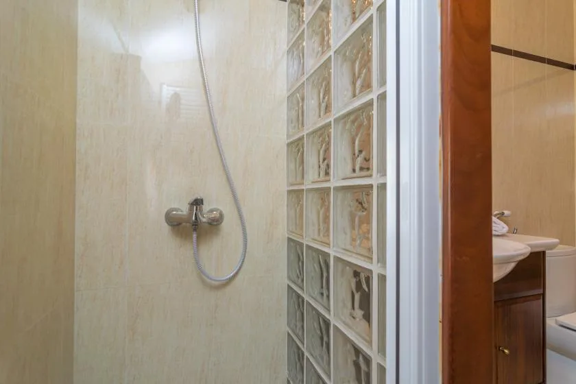 A bathroom shower is beside a glass-block partition.