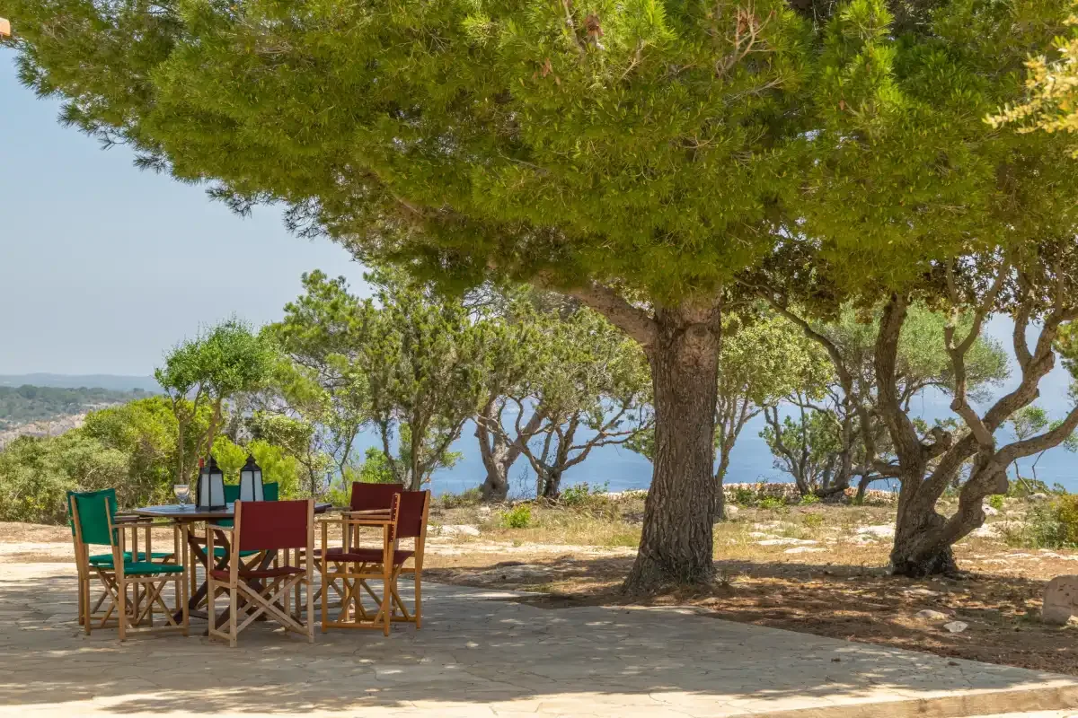 Zona de comedor al aire libre bajo los árboles, con mesas y asientos frente al agua.