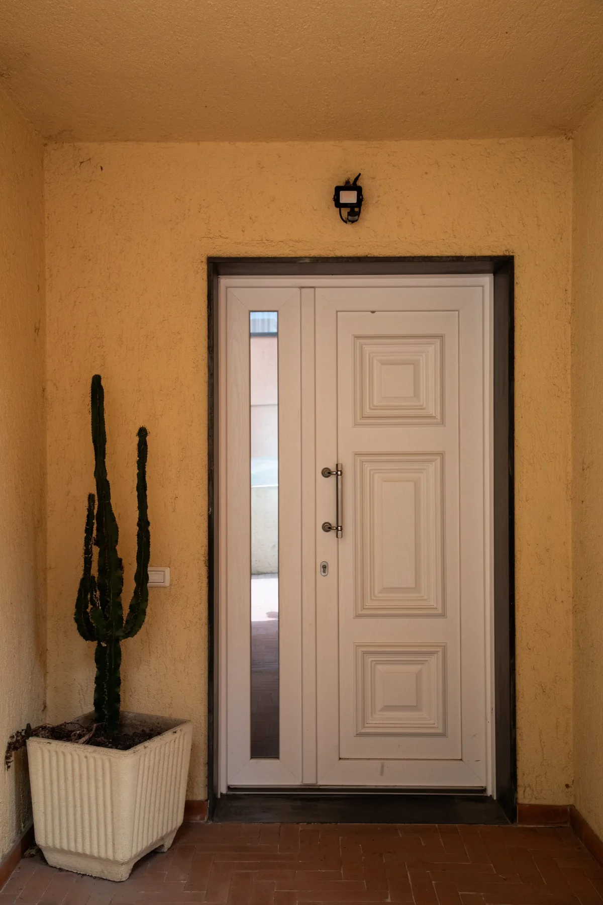 Entrada con una puerta con paneles y un cactus alto en una maceta.