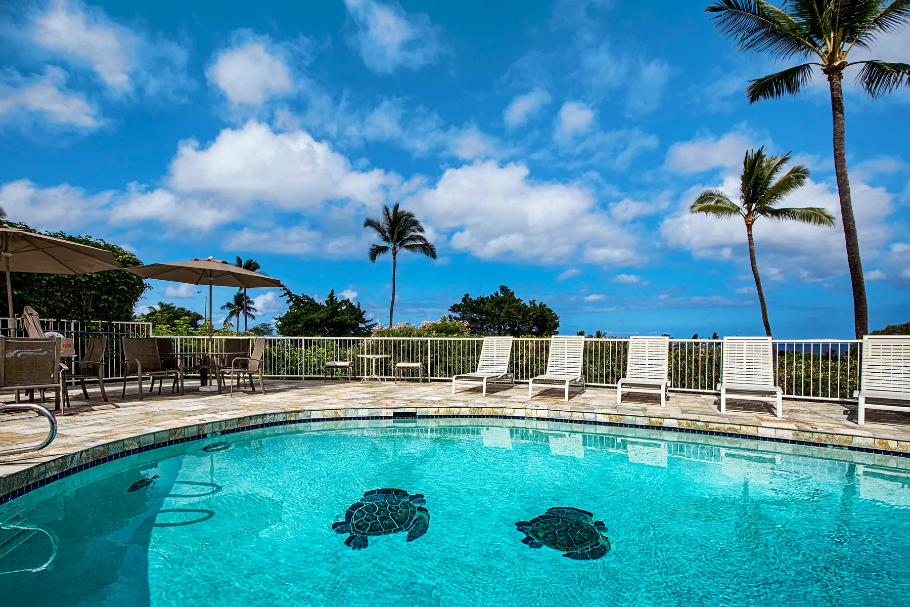 Una piscina al aire libre ofrece vistas de palmeras y del horizonte azul del océano.