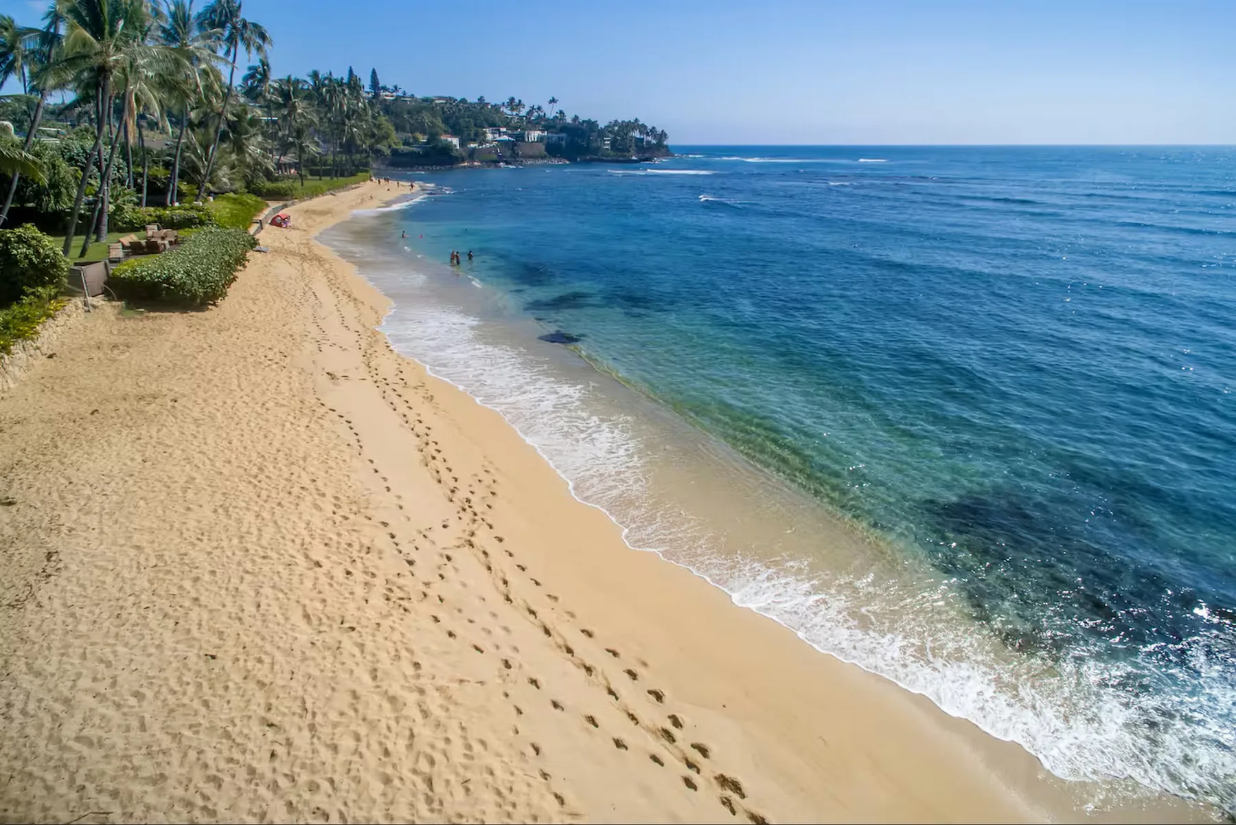 Una playa de arena se curva junto al agua azul del océano y palmeras.
