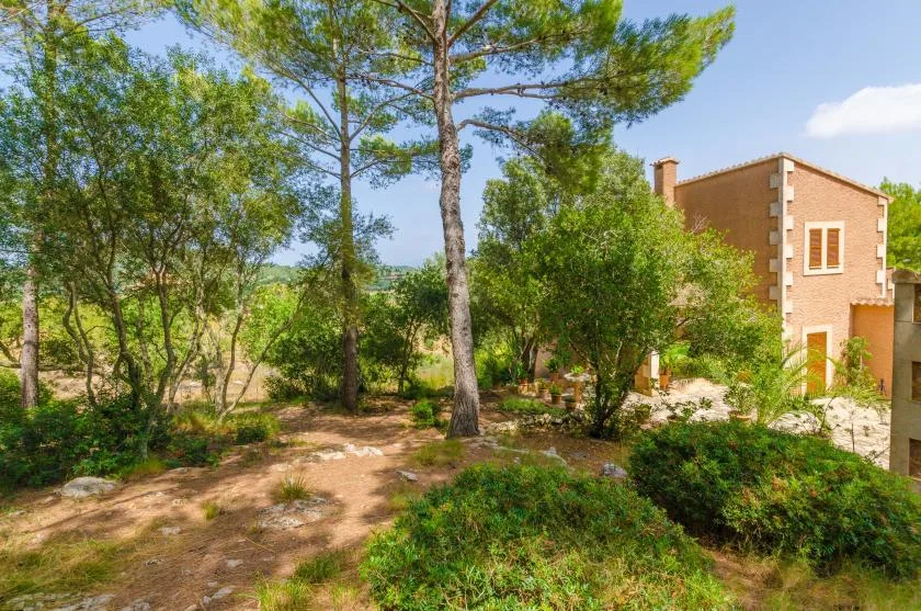 Outdoor garden with pine trees and a brick building in the background.