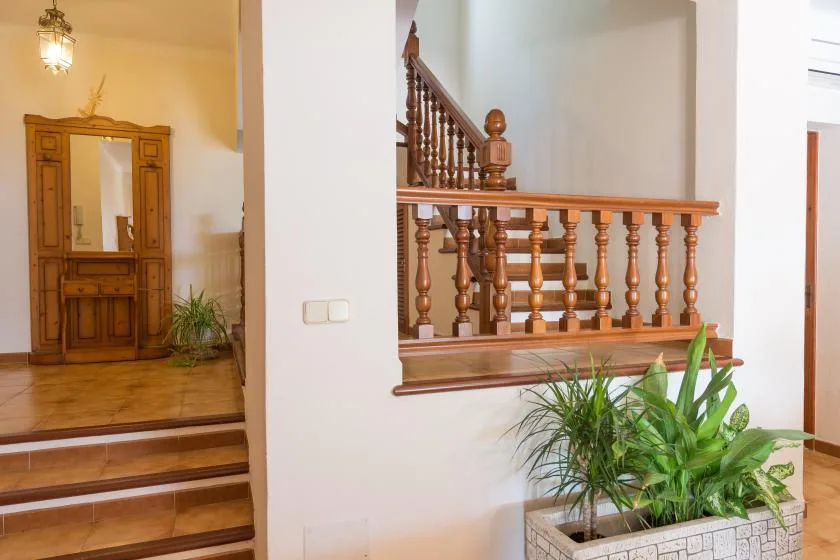 An interior stairway with wooden railings and a large potted plant.