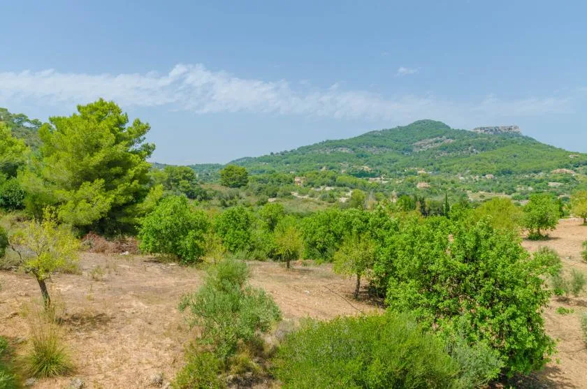 A green hillside rises beyond a dry, tree-dotted field under a blue sky.