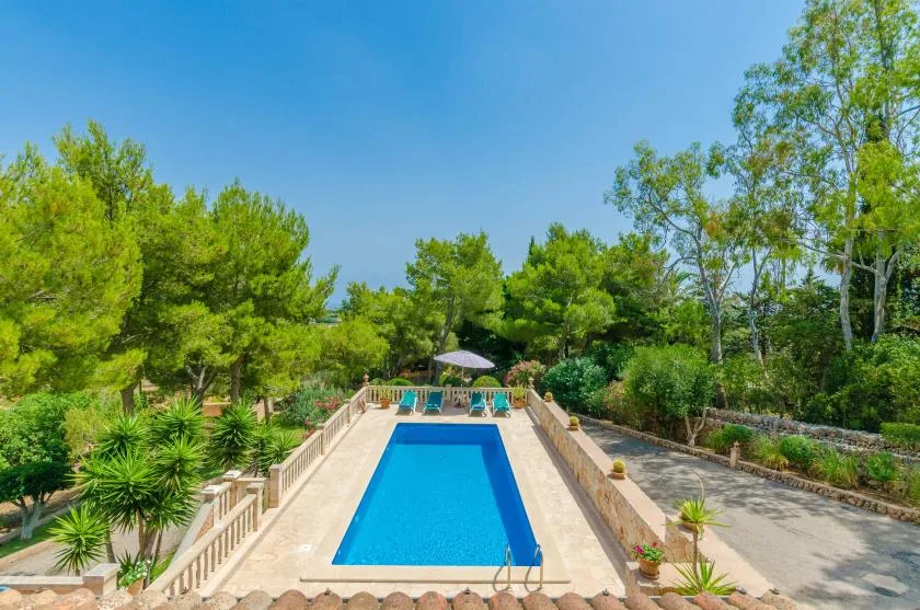 Outdoor swimming pool surrounded by trees and garden landscaping.