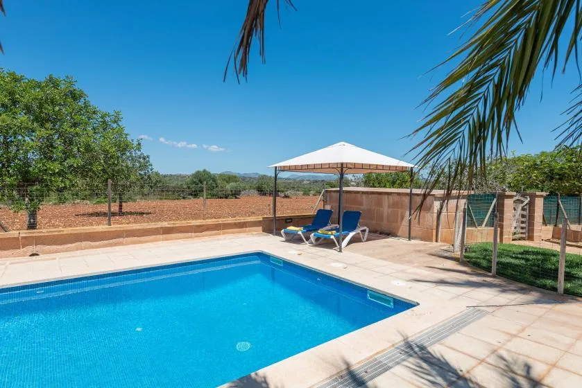An outdoor swimming pool sits beside lounge seating under a canopy.