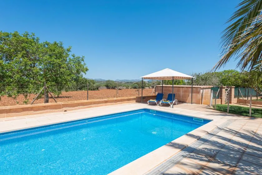 An outdoor swimming pool sits beside a shaded seating area.