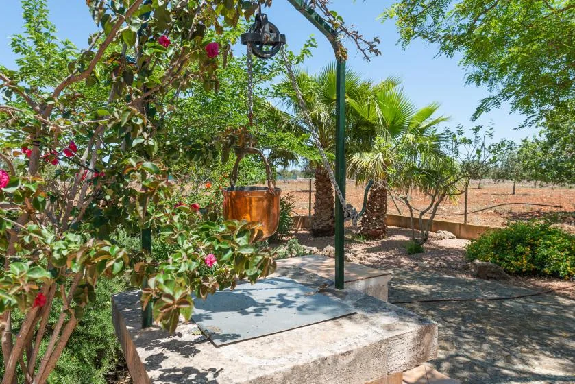 A shaded garden patio with a stone table beneath flowering branches.