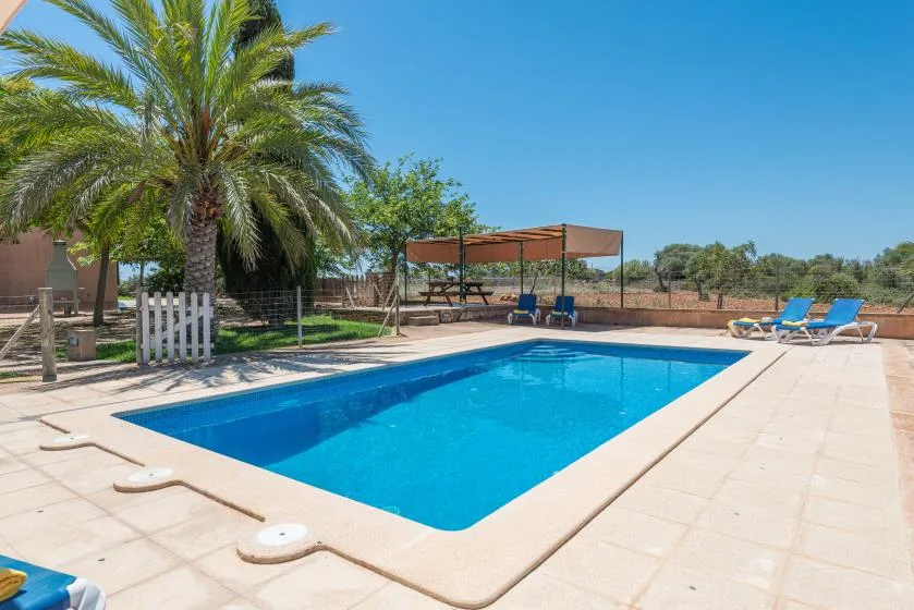 Outdoor swimming pool beside palm trees and shaded seating.
