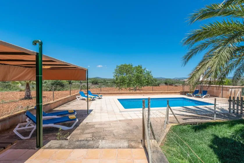 An outdoor swimming pool sits beside a shaded seating area and a palm tree.