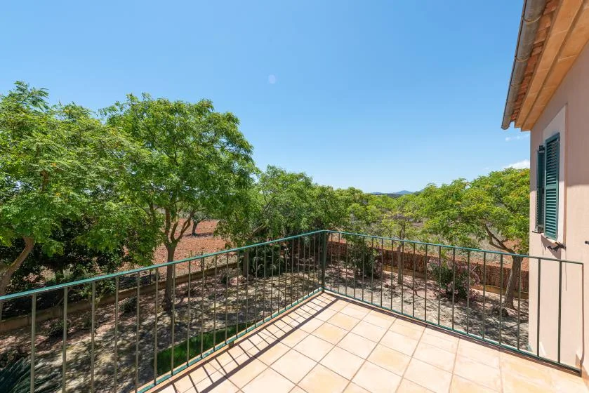 A tiled terrace with a metal railing overlooks leafy trees beneath a clear sky.