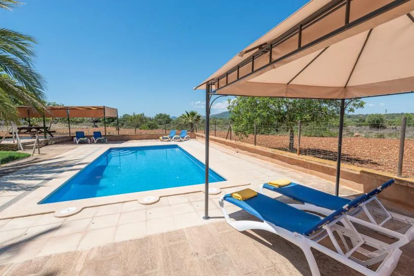 An outdoor swimming pool with blue loungers beneath a large shade canopy.