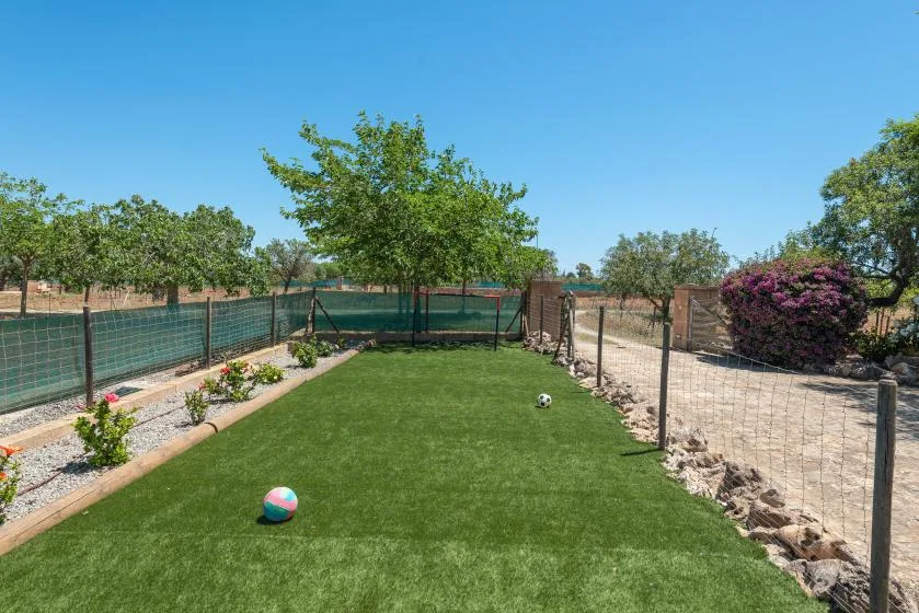 A fenced grassy yard with a small ball and trees.