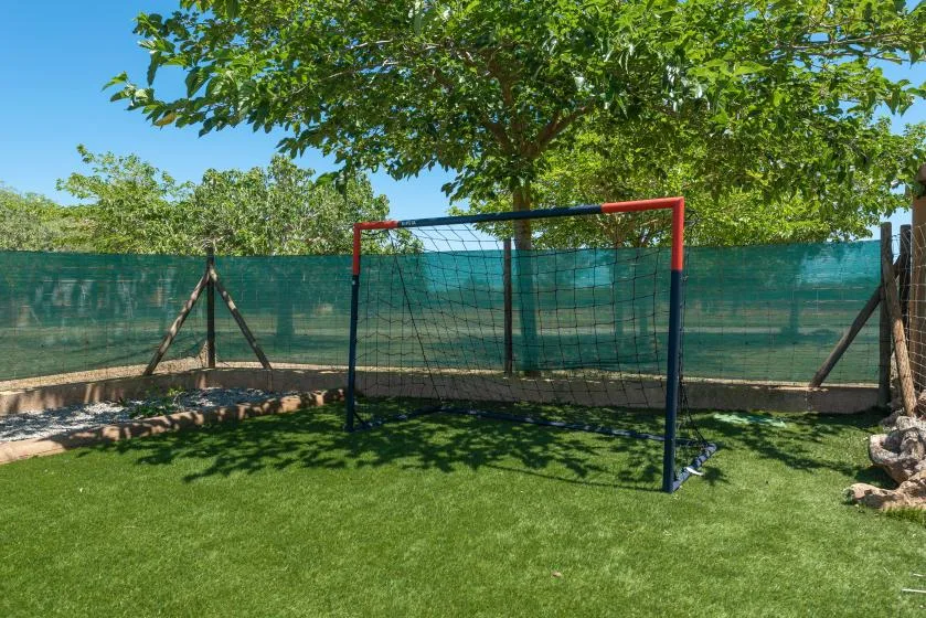 Outdoor yard with a small goal on the grass beneath leafy trees.